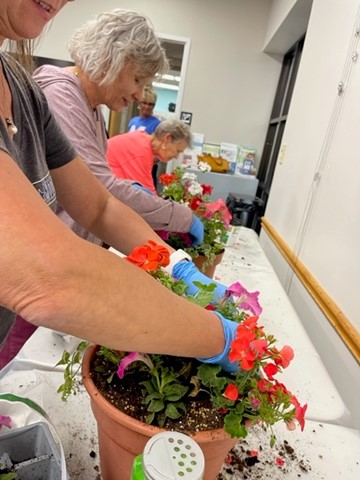 Here we see hands inside buckets of fresh flowers, preparing to make a fresh flower arrangement.