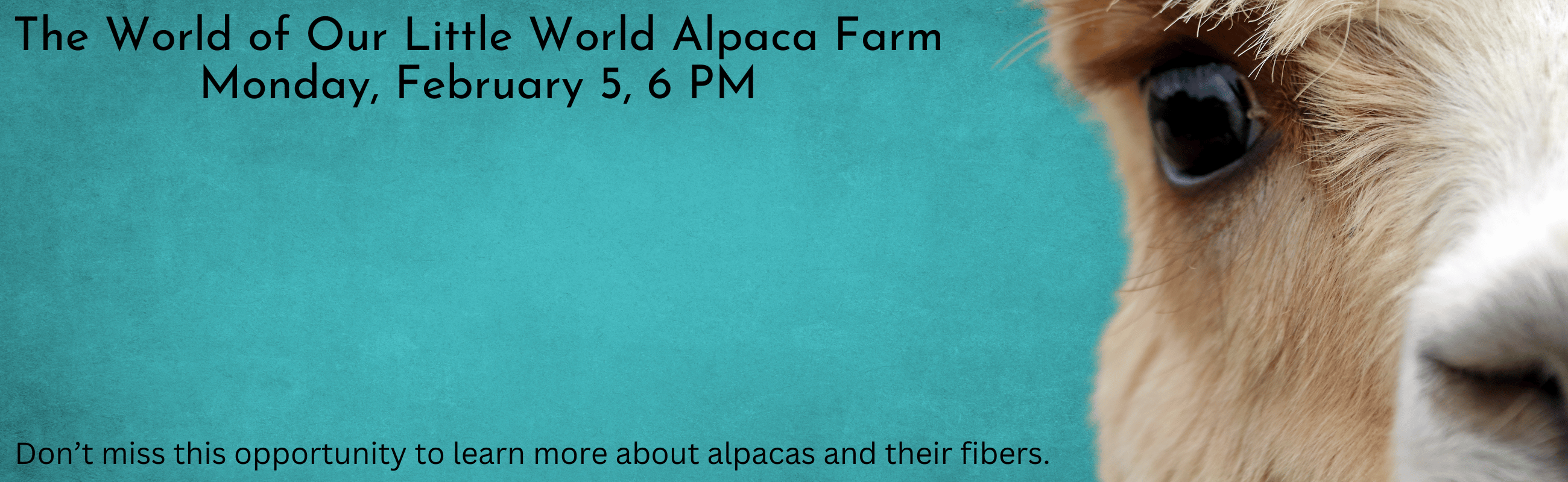 Register for our Our Little World Alpaca Program