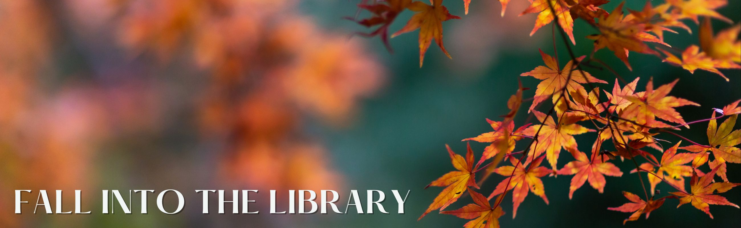 This photo shows fall leaves and is entitled "Fall into the Library."