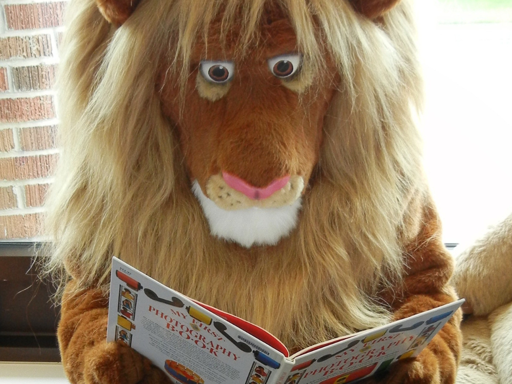 Roary's photo reading books is precious.