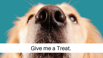 Bring Your pup for Treat Thursdays.