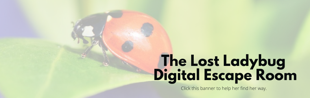July digital escape room. Click to help the ladybug find her way home.